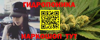 спиды Канаш