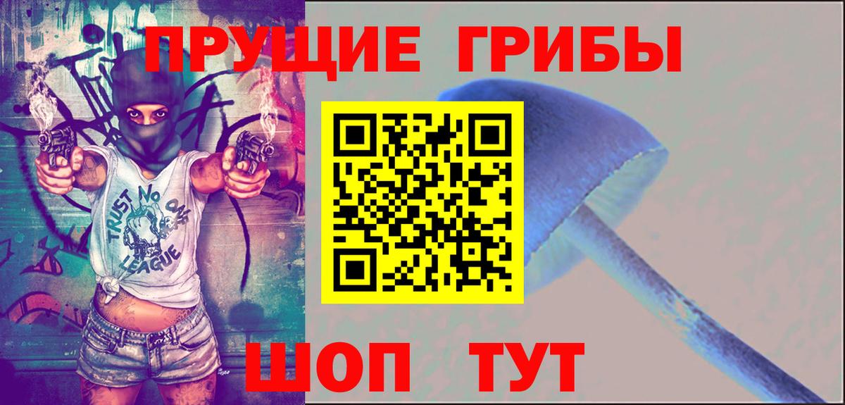Галлюциногенные грибы прущие грибы Костомукша